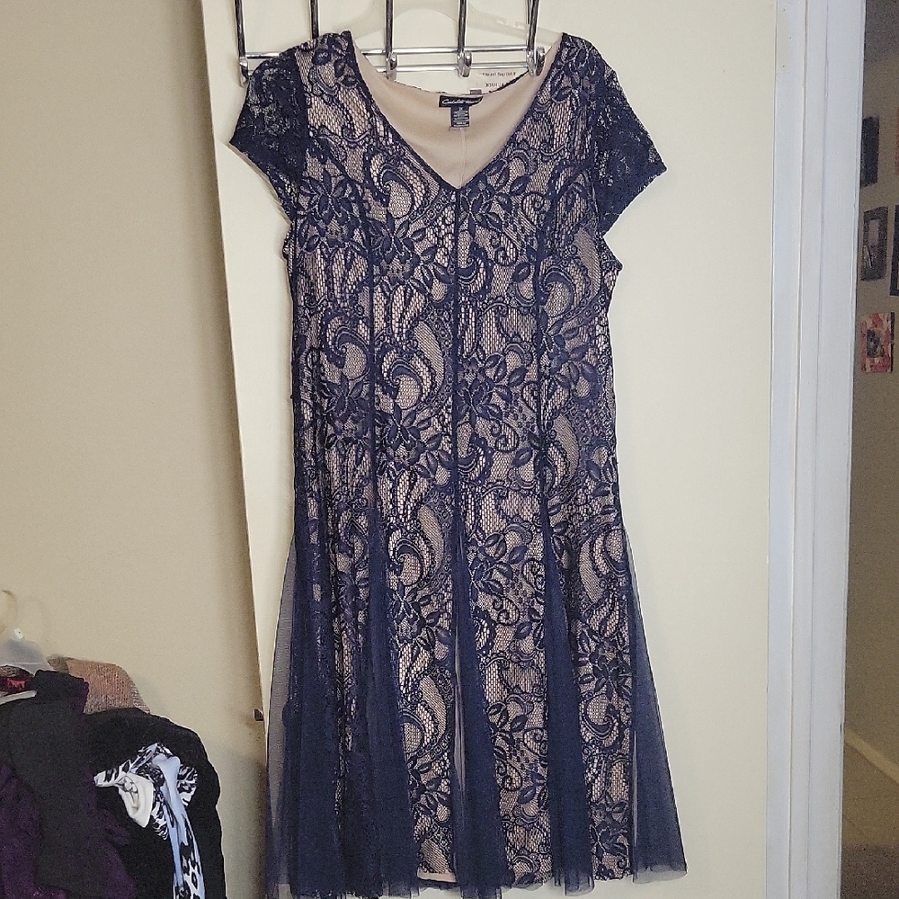 Elegant Navy Lace Overlay Dress